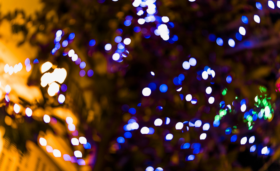 Primer plano de la luz de hadas defocused en arbol