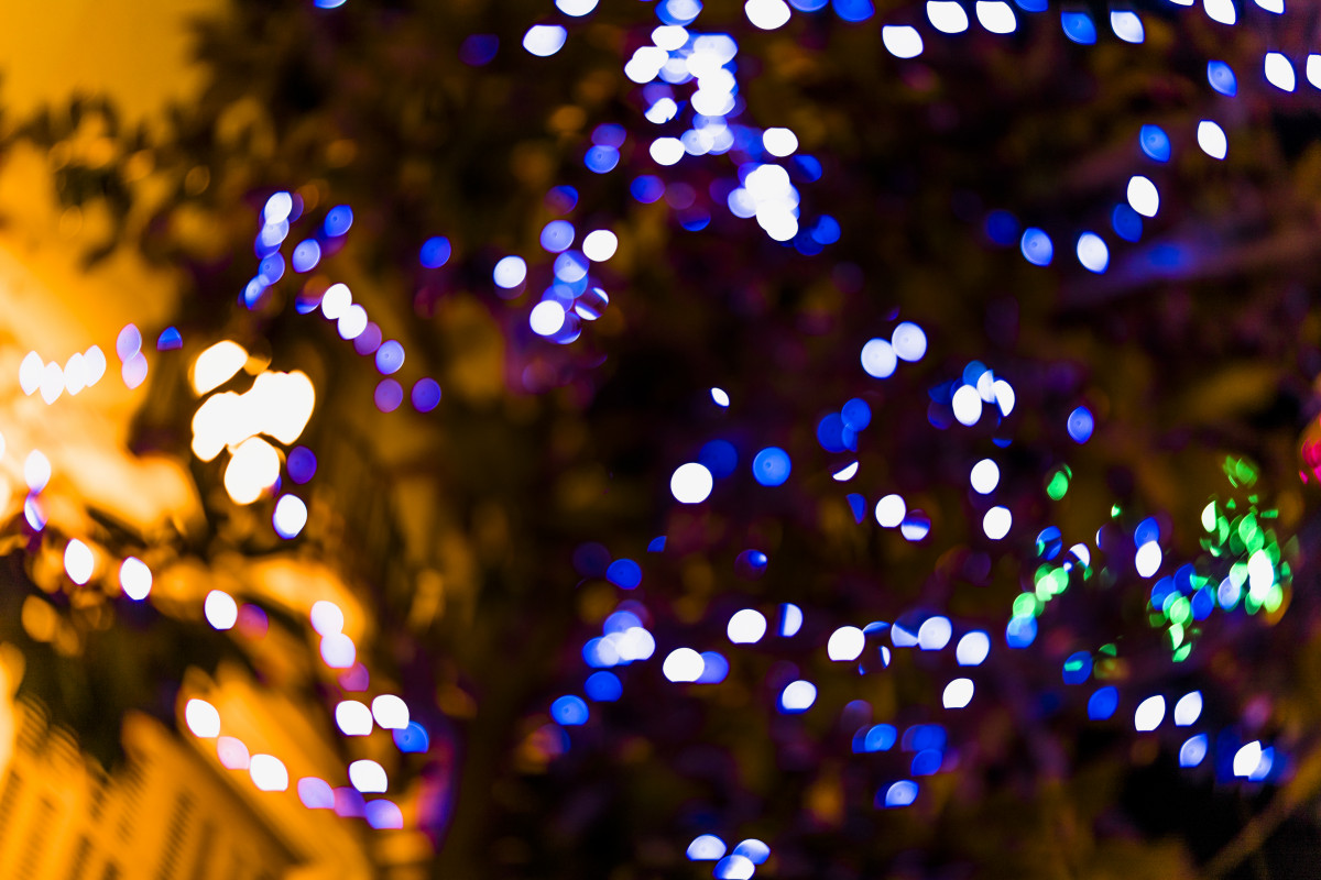 Primer plano de la luz de hadas defocused en arbol