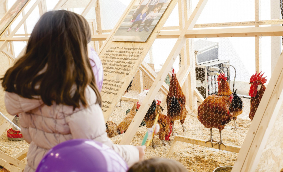 Fira raca prat ajuntament del prat