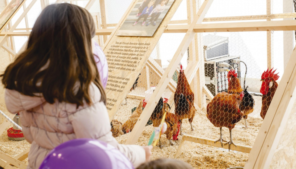 Fira raca prat ajuntament del prat