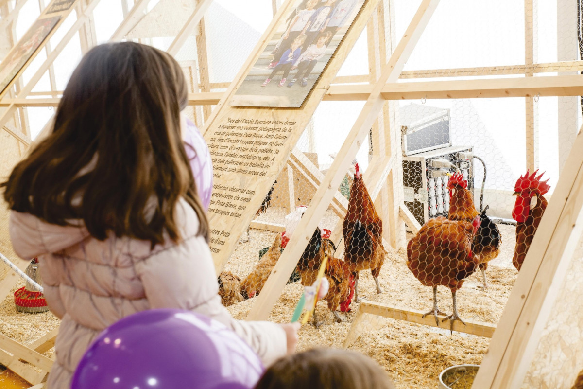 Fira raca prat ajuntament del prat