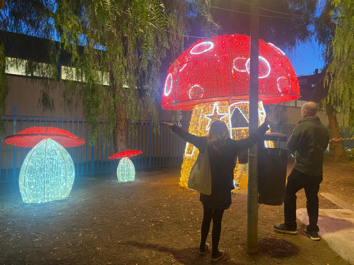 WhatsApp Image 2025 12 05 at 06.50.49