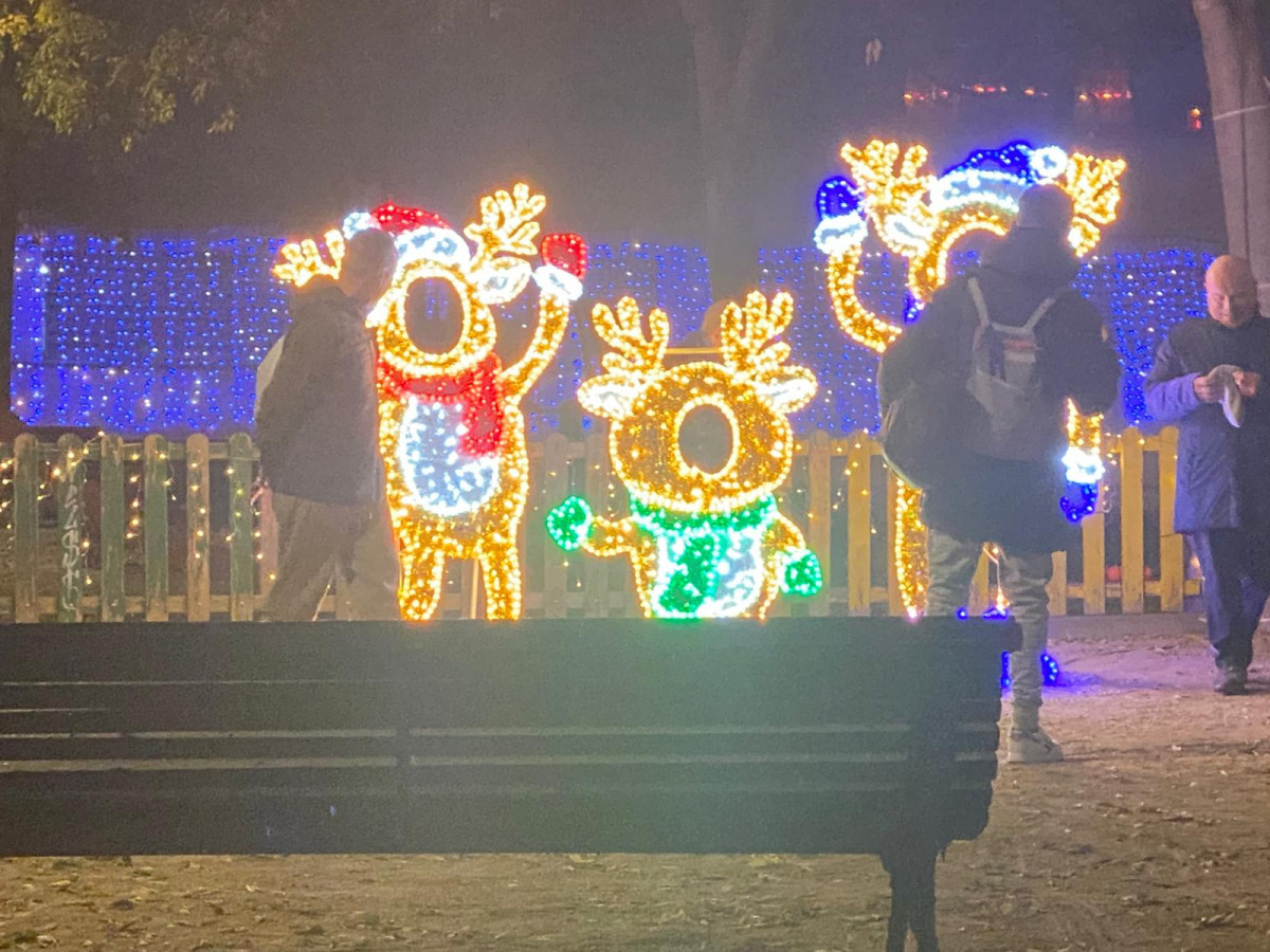 WhatsApp Image 2025 12 05 at 06.50.51 (1)