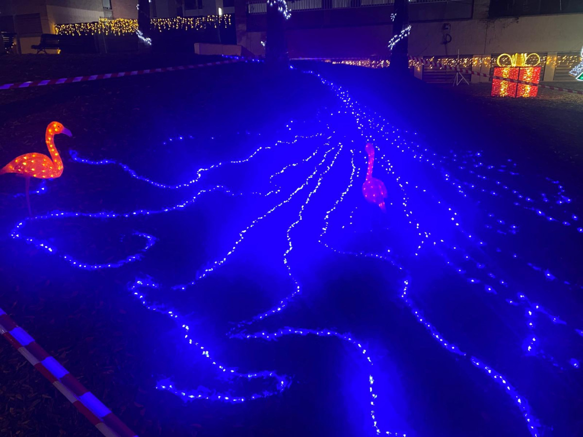 WhatsApp Image 2025 12 05 at 06.50.50 (2)