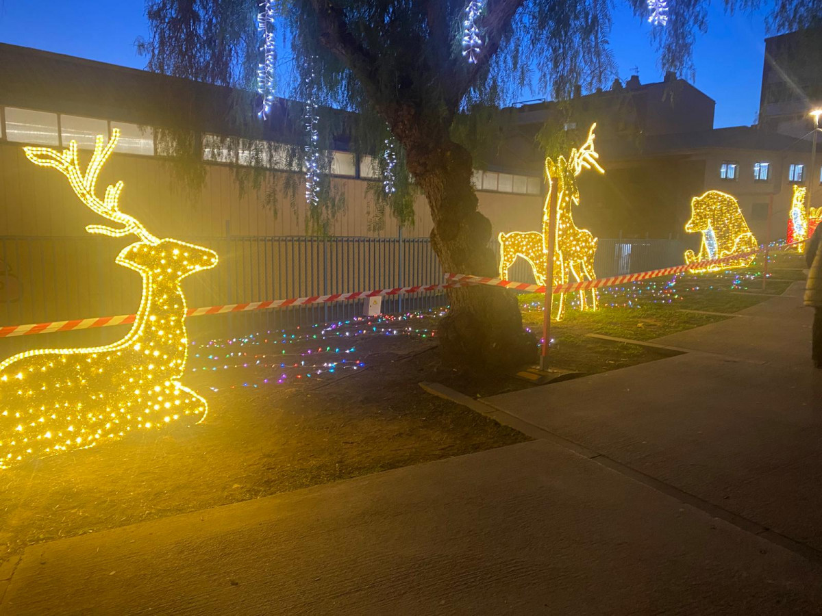 WhatsApp Image 2025 12 05 at 06.50.49 (1)