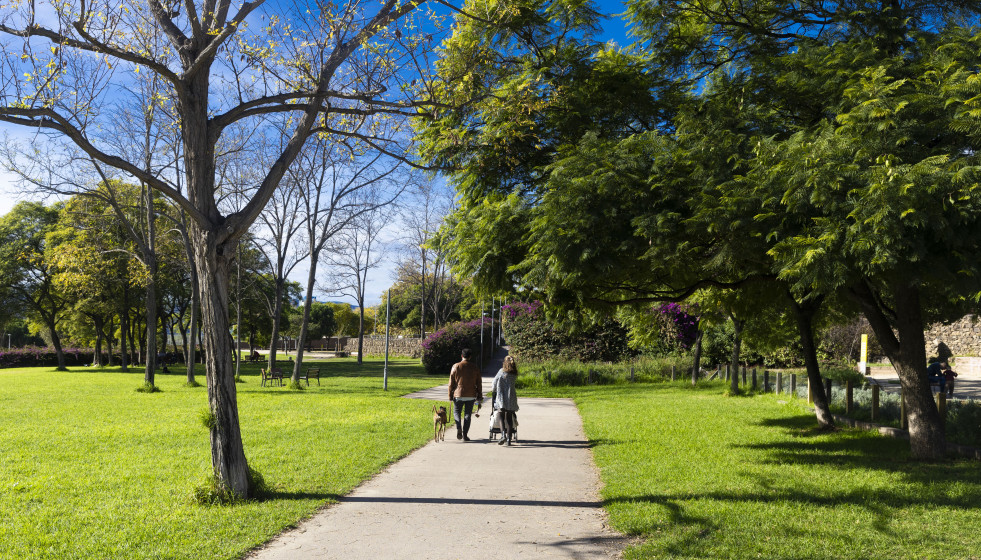 Parc Fontsanta Novembre 2025 2