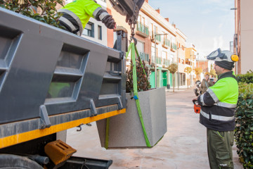 20251210 1135 srl 2440 (1)