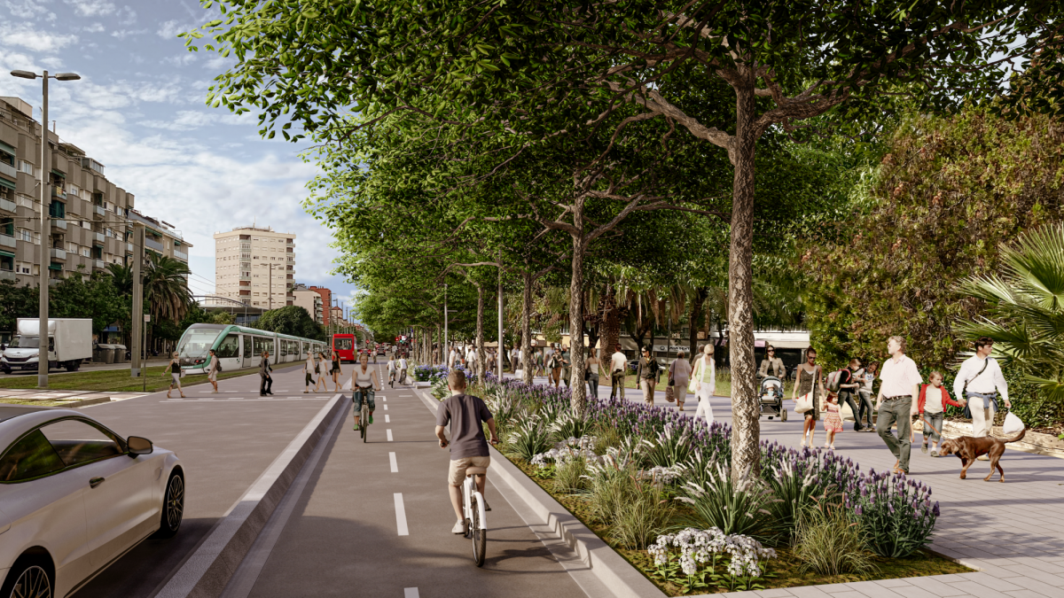 Avcornella1 2000x1125