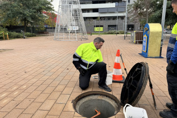 101 Tractament desratització