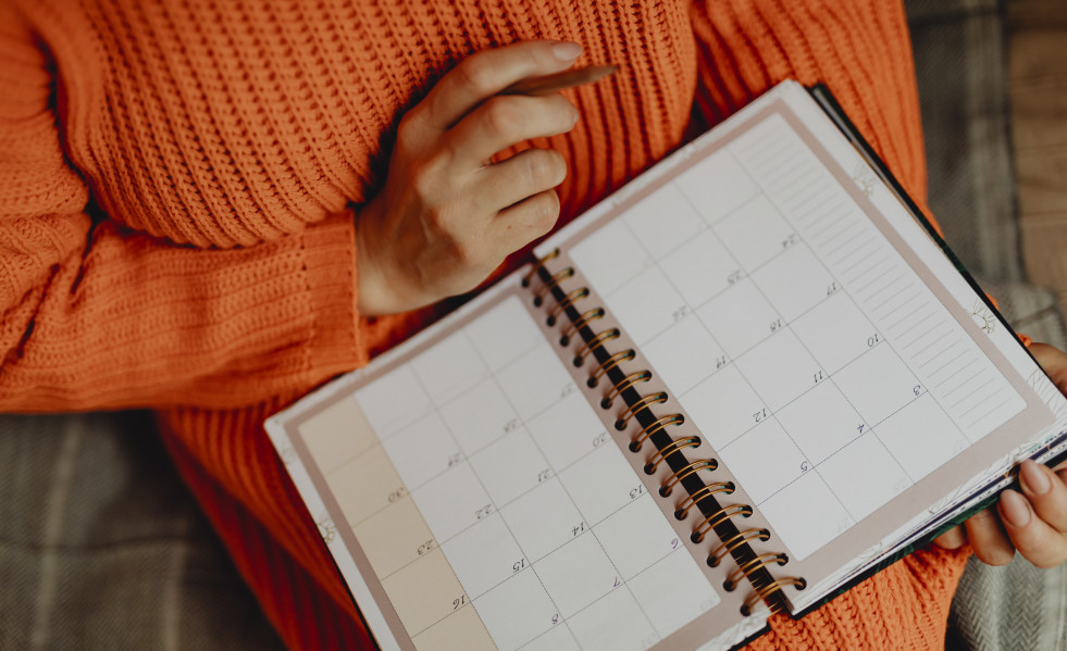 Programacion en una agenda