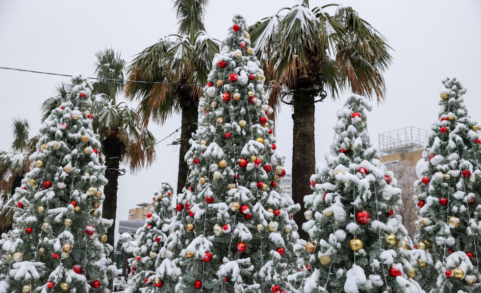 EuropaPress 7192127 31 december 2025 russia sochi christmas trees are seen in the chaika public