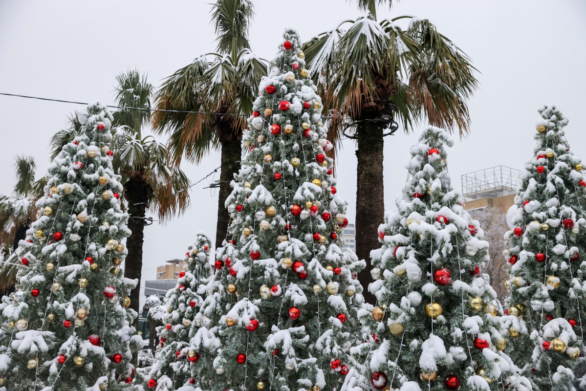 EuropaPress 7192127 31 december 2025 russia sochi christmas trees are seen in the chaika public