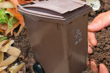 Recollida fracci orgnica