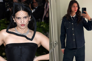 NO SORTIR A LA TERRASSA, HI HA AVESPES (8)