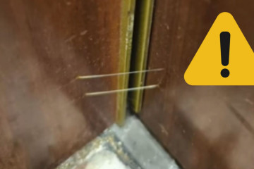 NO SORTIR A LA TERRASSA, HI HA AVESPES (9)