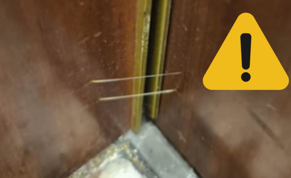 NO SORTIR A LA TERRASSA, HI HA AVESPES (9)