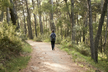 Young woman hiking forest