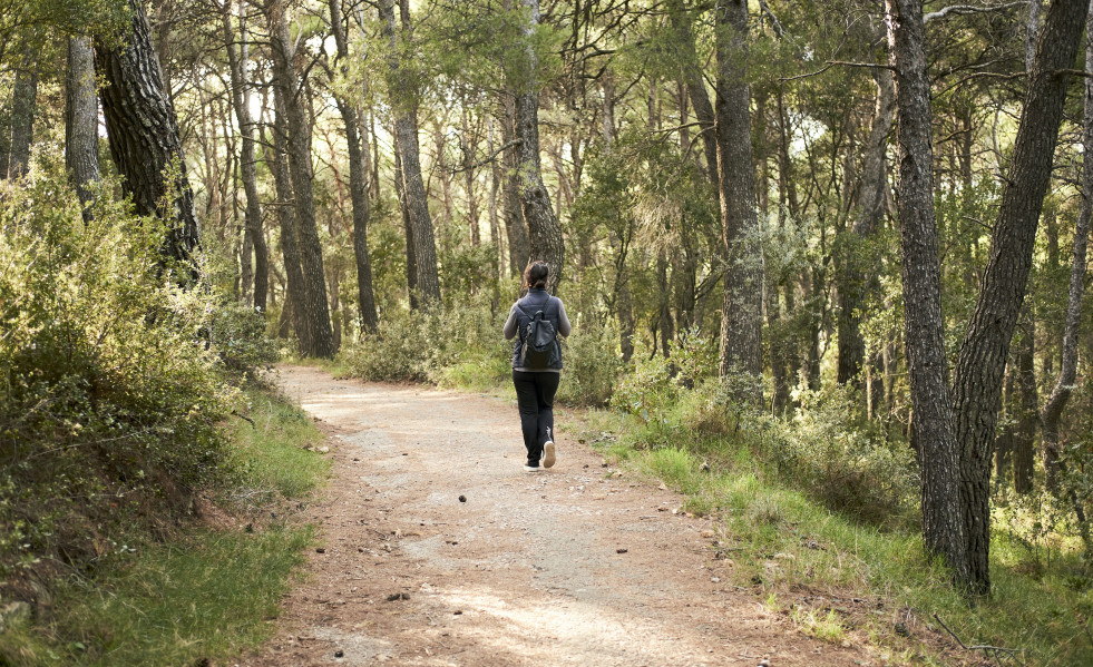 Young woman hiking forest