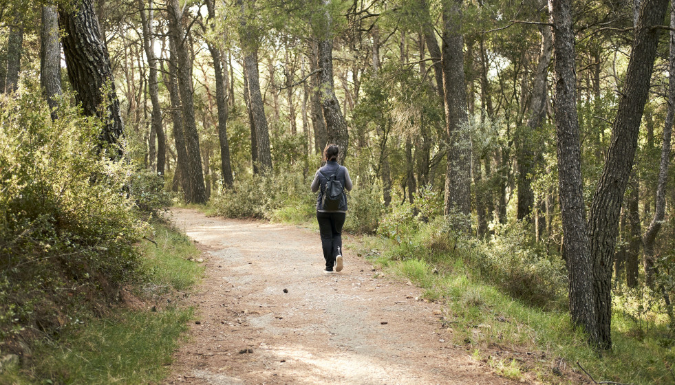 Young woman hiking forest