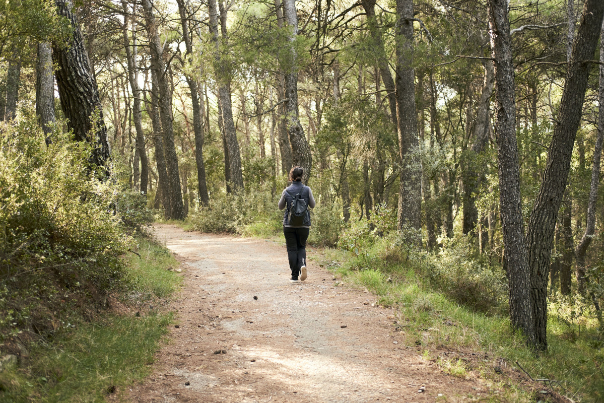 Young woman hiking forest