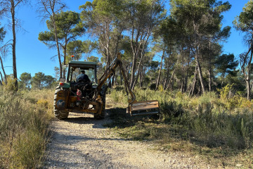 2026 01 15 18 17 12 WhatsApp Image 2026 01 15 at 17.34.39