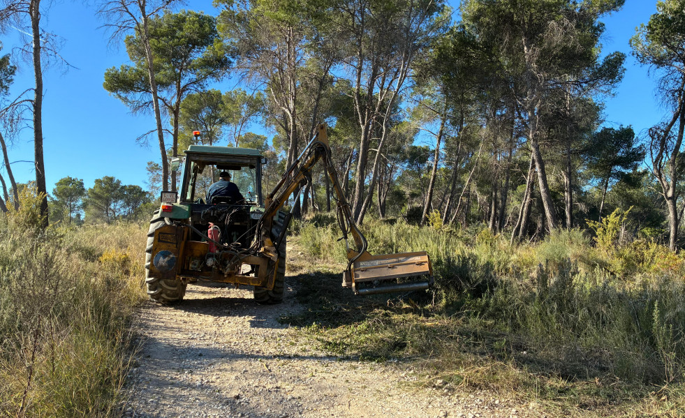 2026 01 15 18 17 12 WhatsApp Image 2026 01 15 at 17.34.39