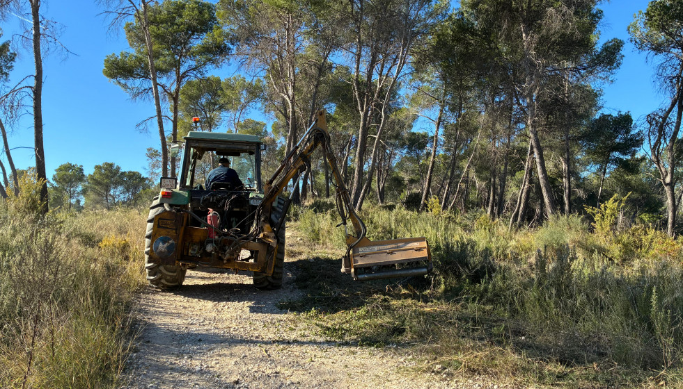 2026 01 15 18 17 12 WhatsApp Image 2026 01 15 at 17.34.39