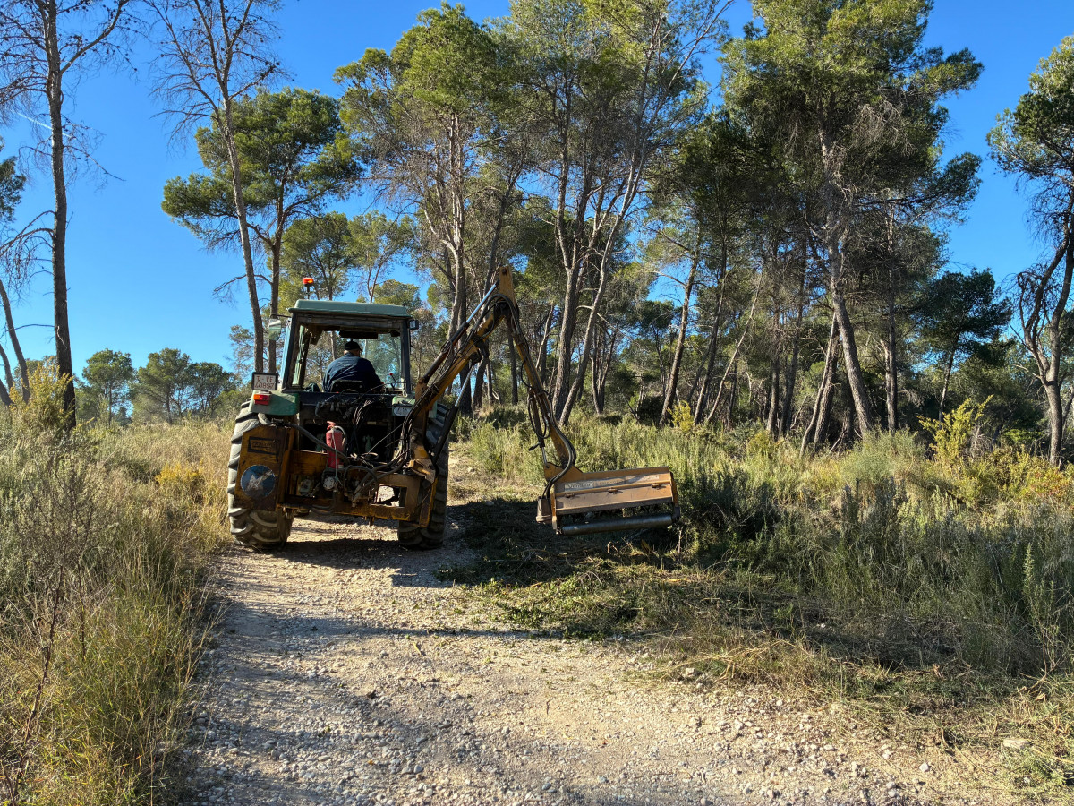 2026 01 15 18 17 12 WhatsApp Image 2026 01 15 at 17.34.39