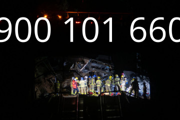 NO SORTIR A LA TERRASSA, HI HA AVESPES (10)