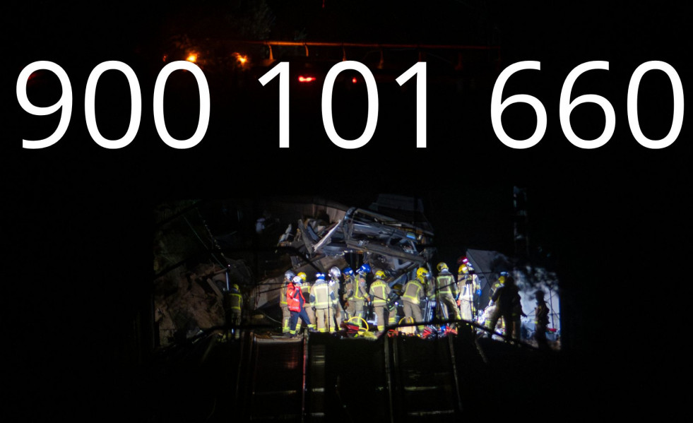 NO SORTIR A LA TERRASSA, HI HA AVESPES (10)