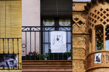 NO SORTIR A LA TERRASSA, HI HA AVESPES (11)