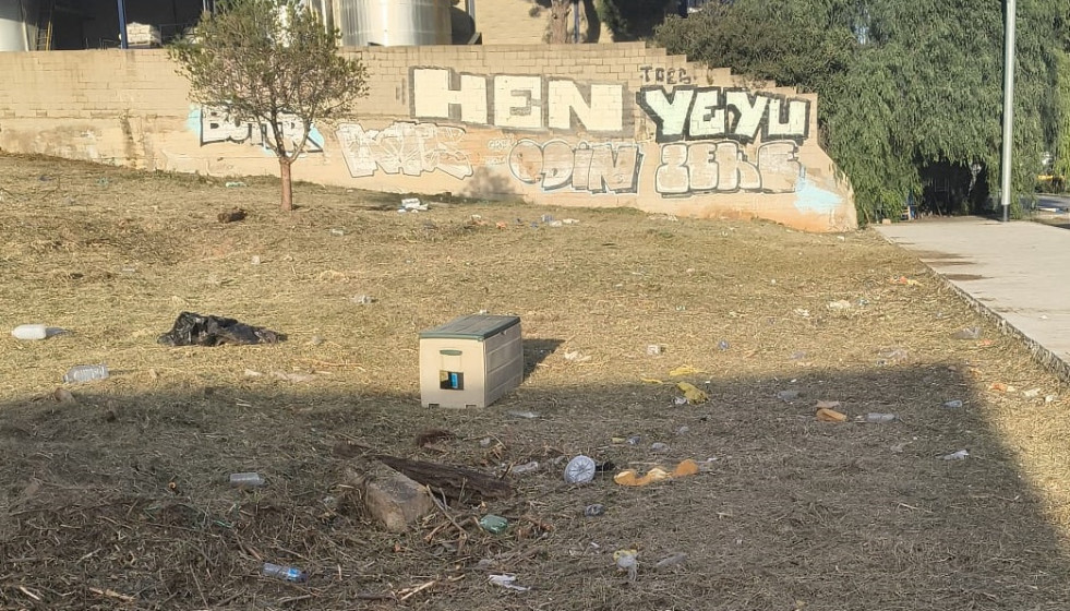 Gatos