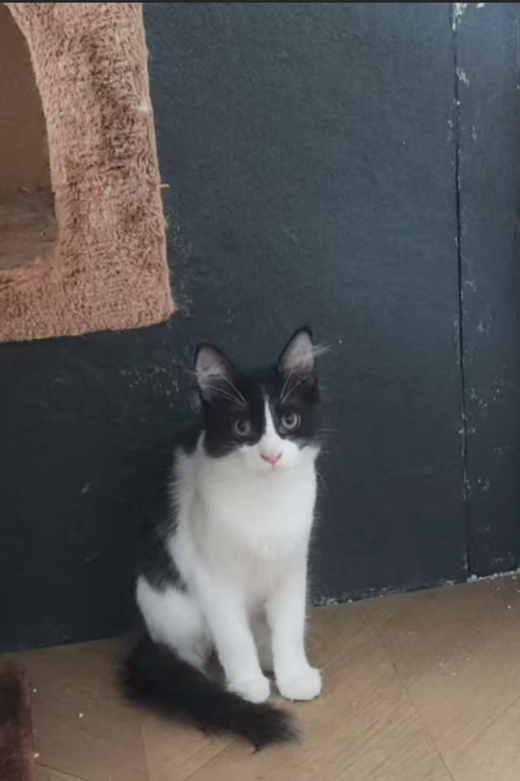 WhatsApp Image 2026 01 23 at 18.26.37