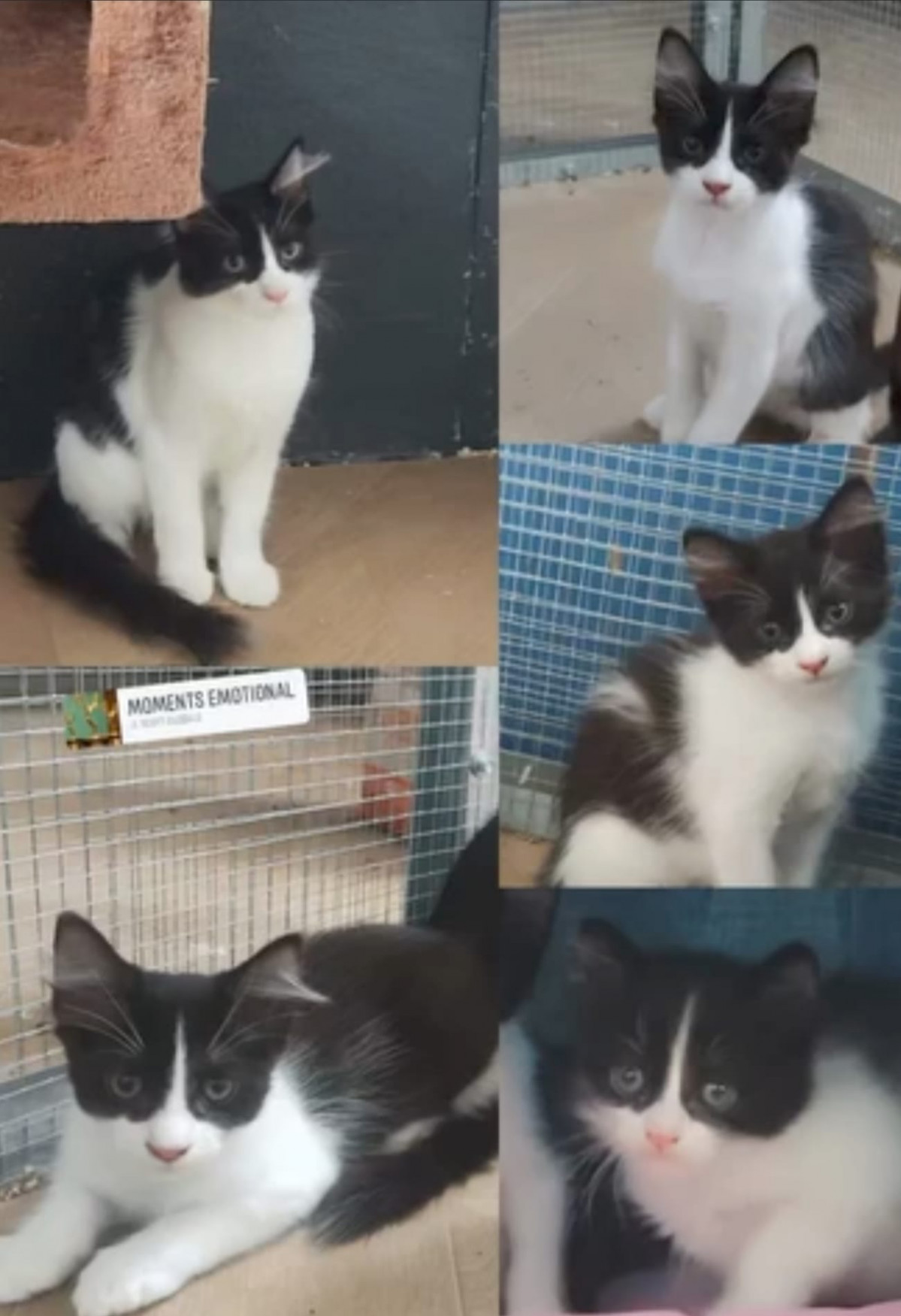 WhatsApp Image 2026 01 23 at 18.26.37 (2)