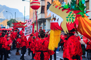 Carnaval img 3022web