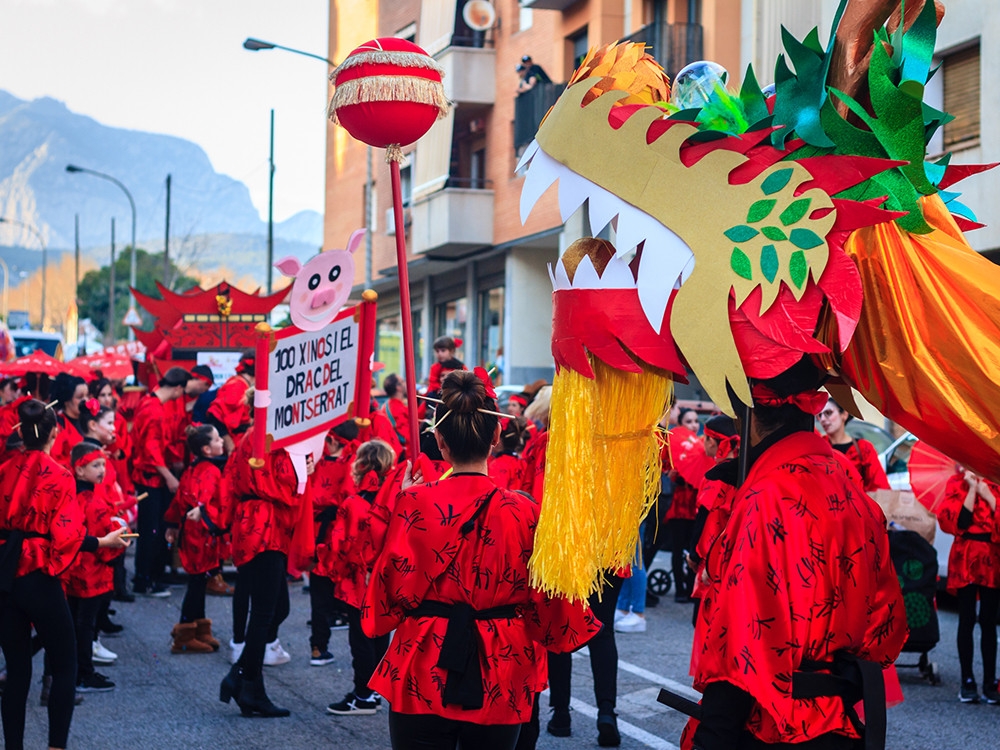 Carnaval img 3022web