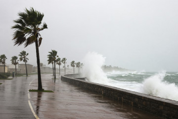 Stormy coastal scene with palm trees crashing waves