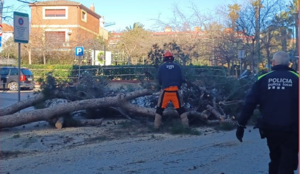 El temporal golpea Esplugues de Llobregat: árboles arrancados y múltiples incidencias en la vía pública