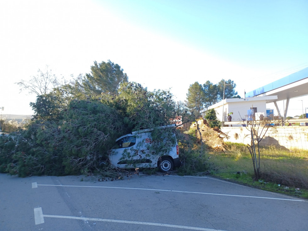 El fuerte temporal de viento sacude Martorell: tejados arrancados, árboles caídos y una carretera cortada