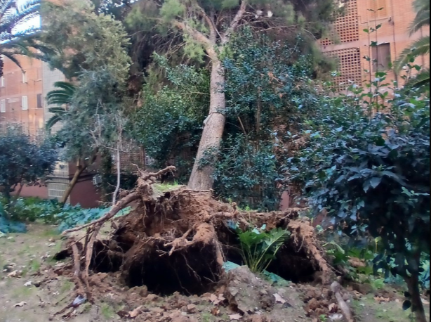 El fuerte viento causa destrozos en Cornellà de Llobregat sin dejar heridos
