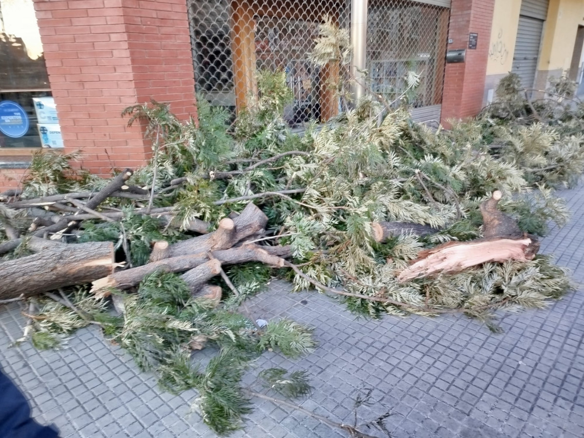 WhatsApp Image 2026 02 12 at 18.23.17