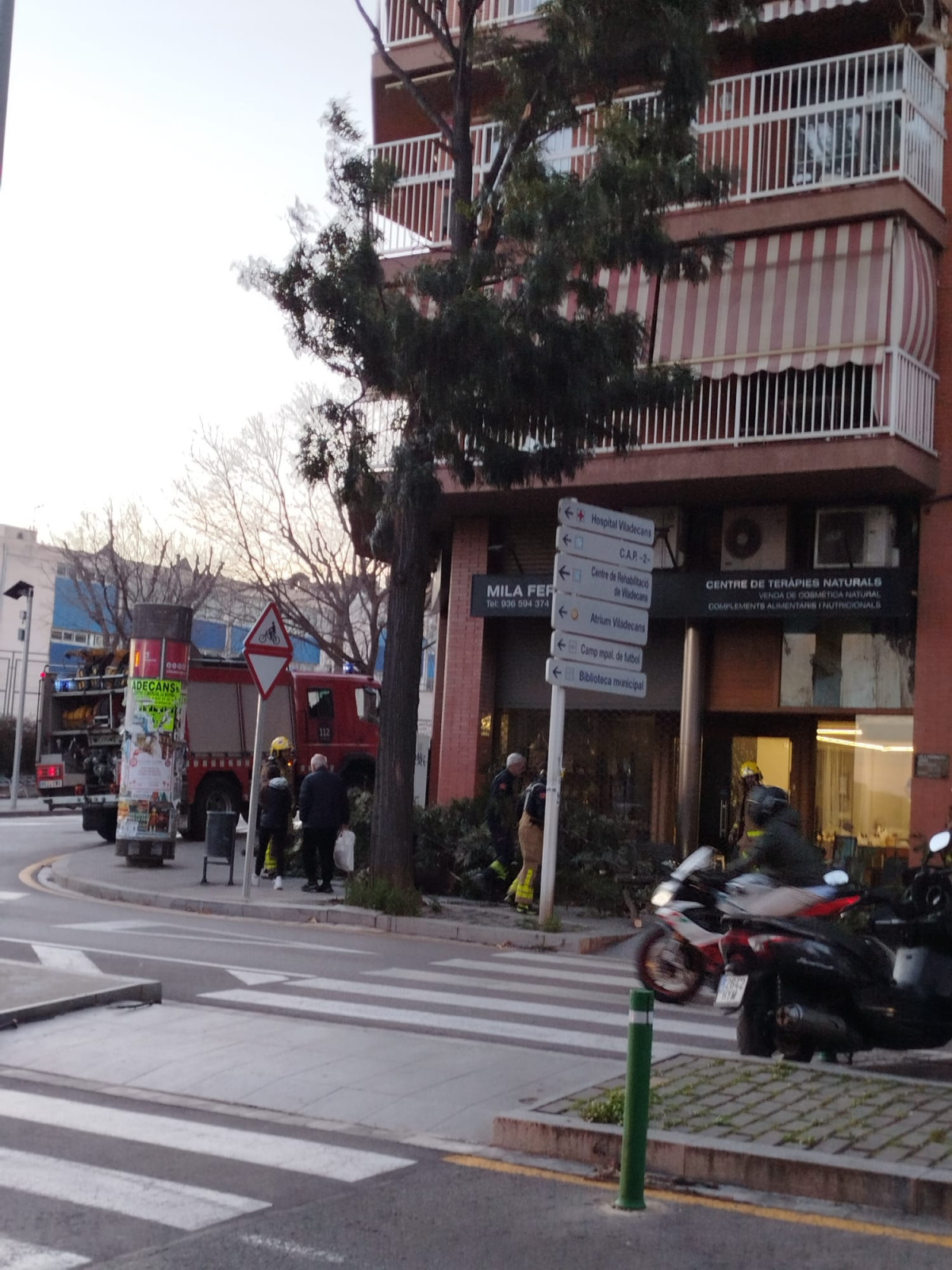 WhatsApp Image 2026 02 12 at 18.23.17 (1)