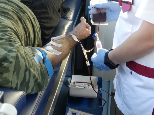  1060534 redim w600 h450