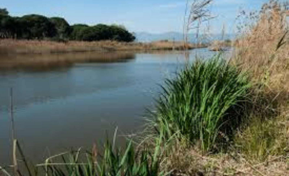 La Murtra   Ajuntament de Gavà