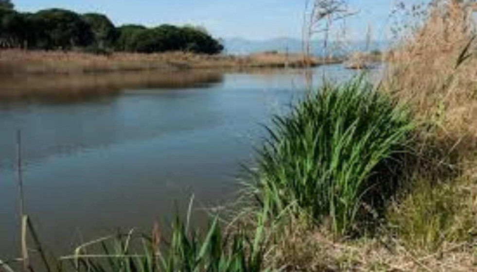 La Murtra   Ajuntament de Gavà