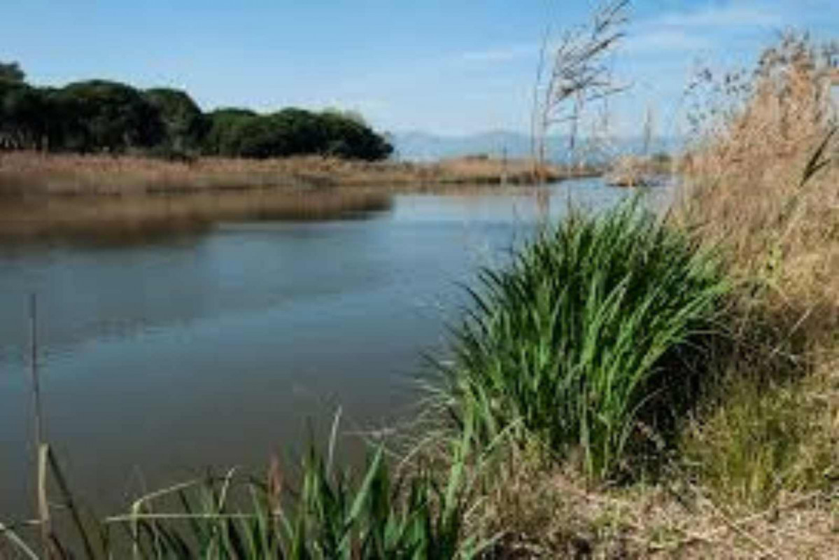 La Murtra   Ajuntament de Gavu00e0