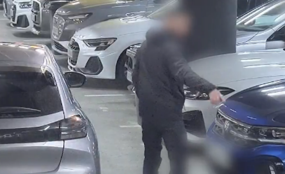 Mossos ladron de coches