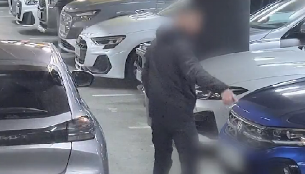 Mossos ladron de coches