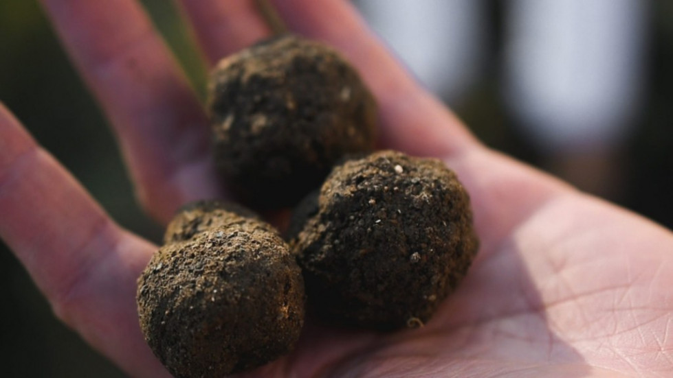 Castelldefels llena la playa de actividades familiares: sorpresas y experimentos este fin de semana