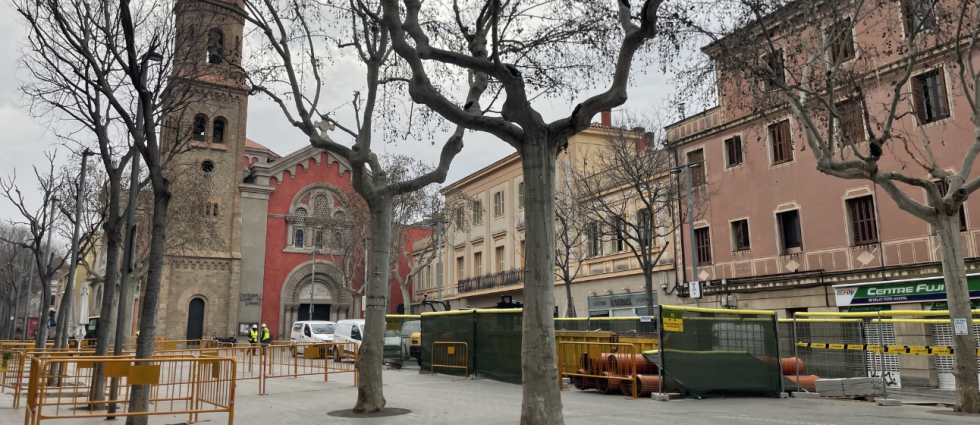 La reurbanización de la zona centro de Sant Feliu reorganiza el arbolado: se conservarán 37 árboles